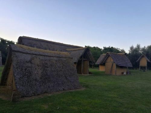 Histoire vivante - Marle 2020 - Journées mérovingiennes