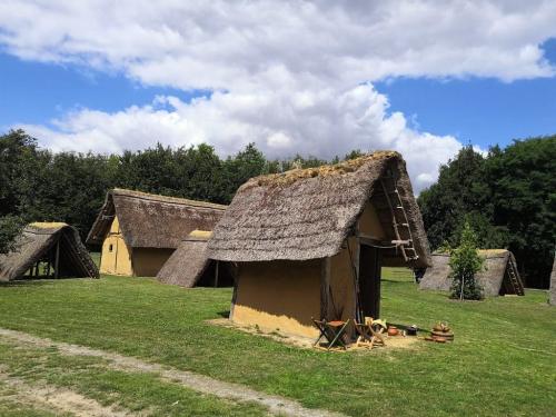 Histoire vivante - Marle 2020 - Journées mérovingiennes