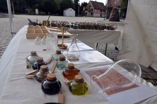 Ottmarsheim 2022 - Atelier médecine - Moyen âge