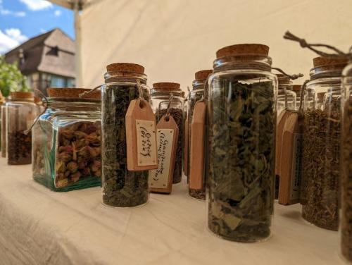 Sujet - Médecine - Moyen âge