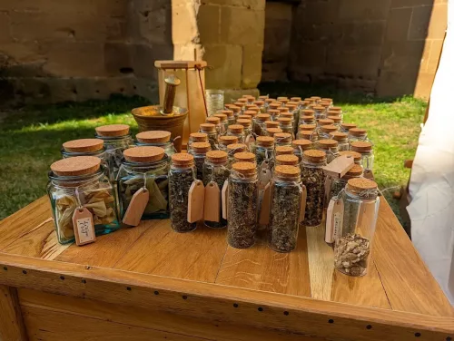 Saint-Antoine-l'Abbaye - Atelier médecine